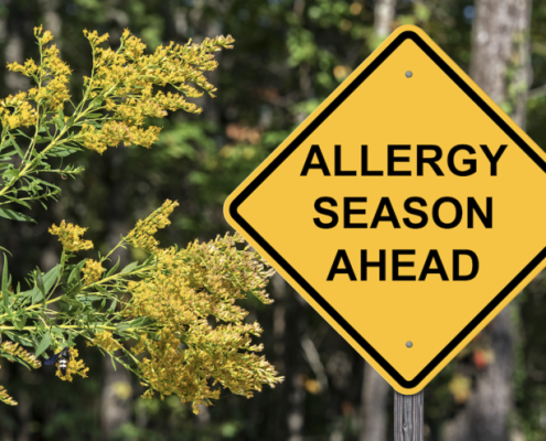 screen enclosure against pollen season