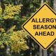 screen enclosure against pollen season