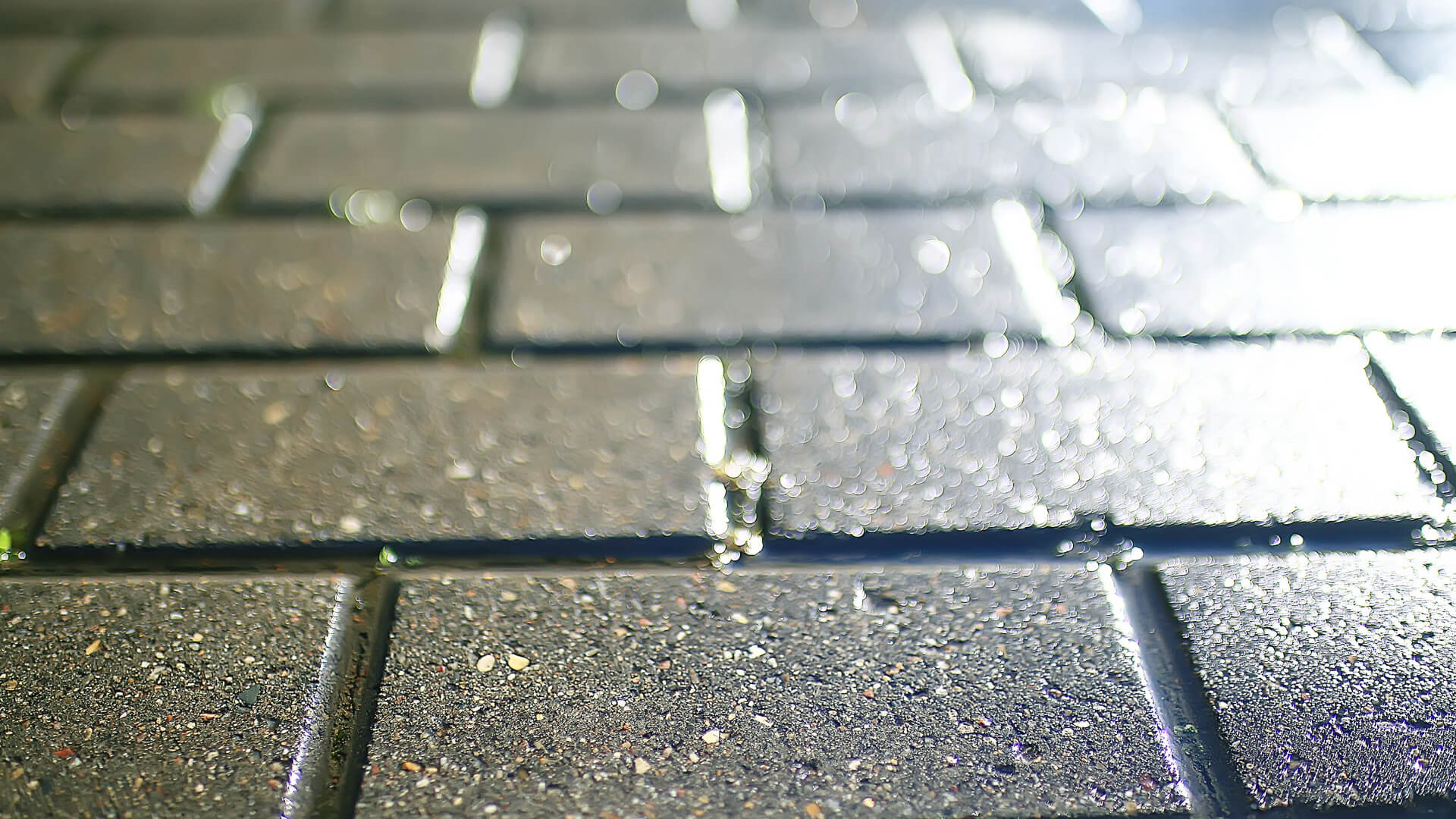 paver sealed by red12 outdoor designs